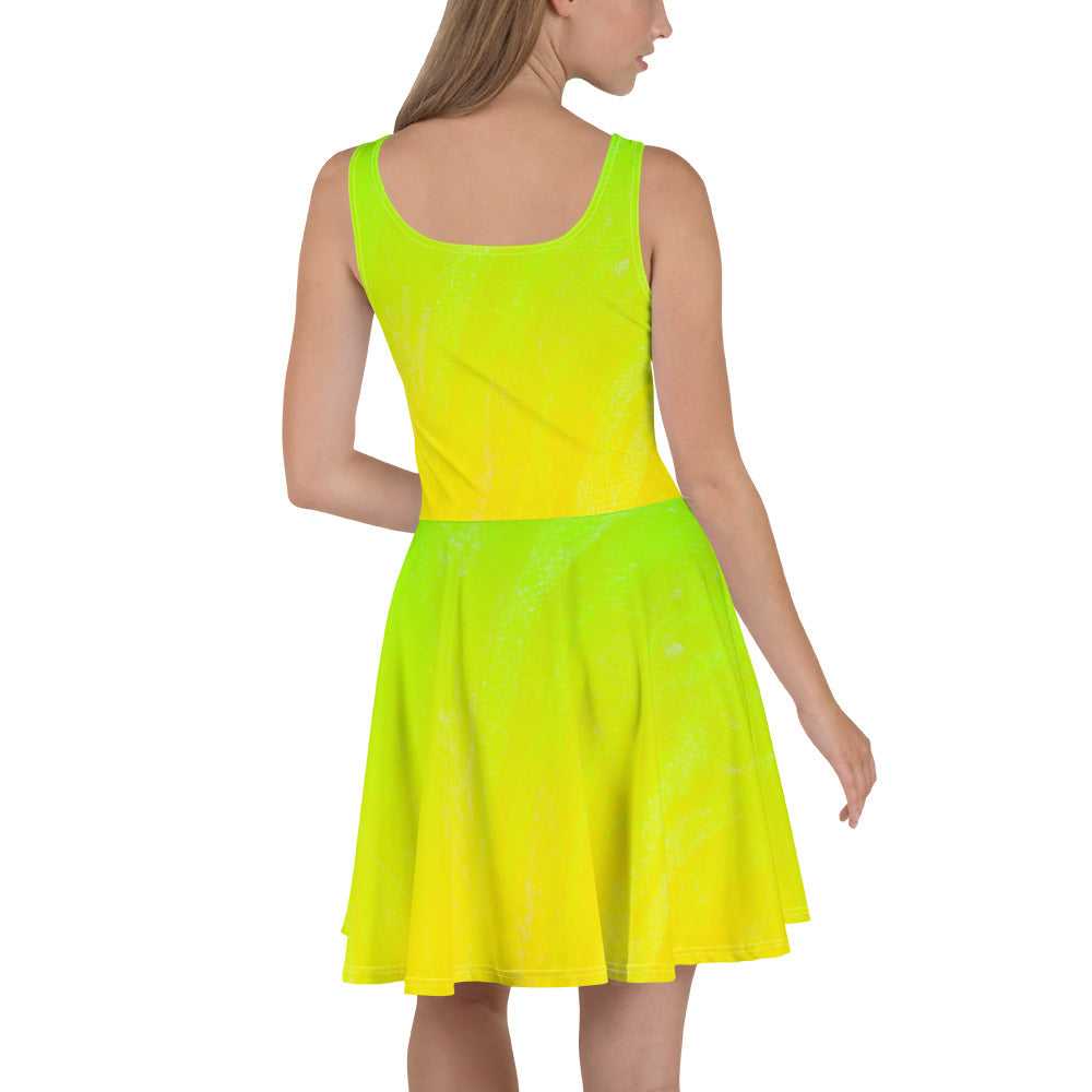 Skater-Kleid
