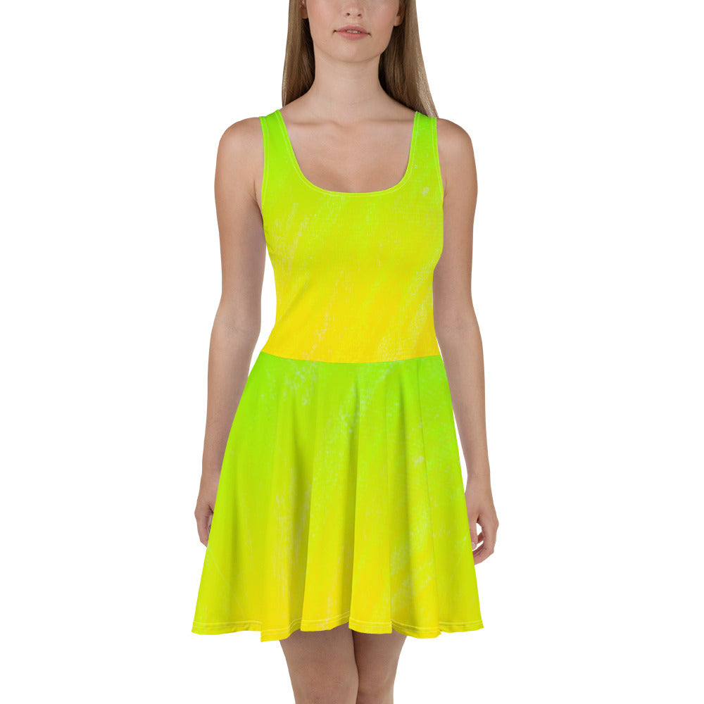 Skater-Kleid